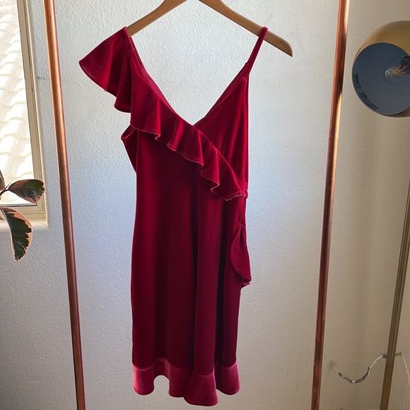 EXPRESS Red Velvet Dress - Picture 7 of 7